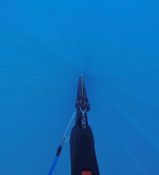 Looking down a speargun in the water