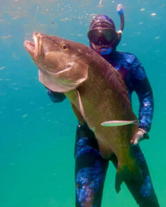 Underwater hunting the Cubera, Spearfishing in Baja, Mexico