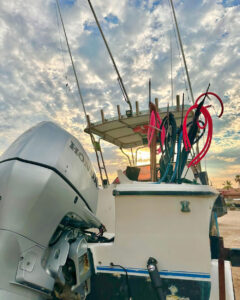 Boat with a variety of spearguns ready for targeting different species.
