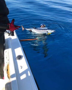 Catching a wahoo in Baja